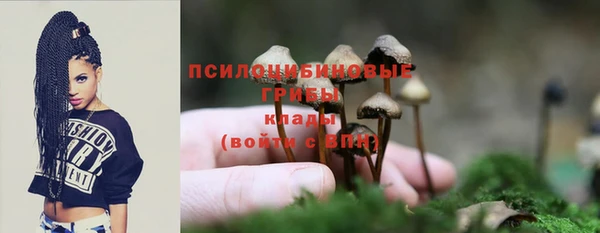 mdma Козловка