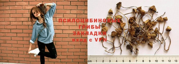 mdma Козловка