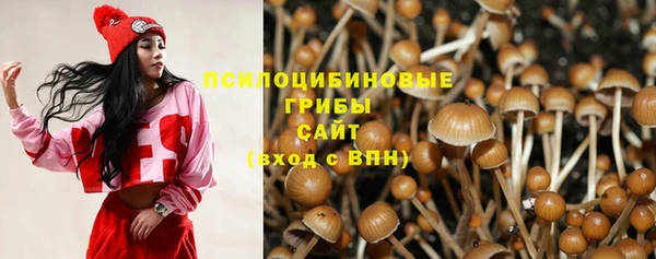 герыч Козельск