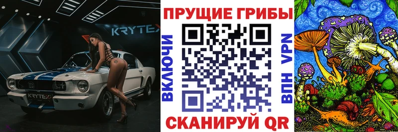 Галлюциногенные грибы мицелий  Купить где  Сосновка 